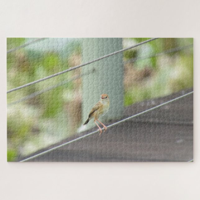 Puzzle oiseau sur fil (Horizontal)