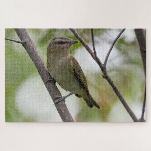 Puzzle Oiseau vert, Vireo à yeux rouges, Photographie can