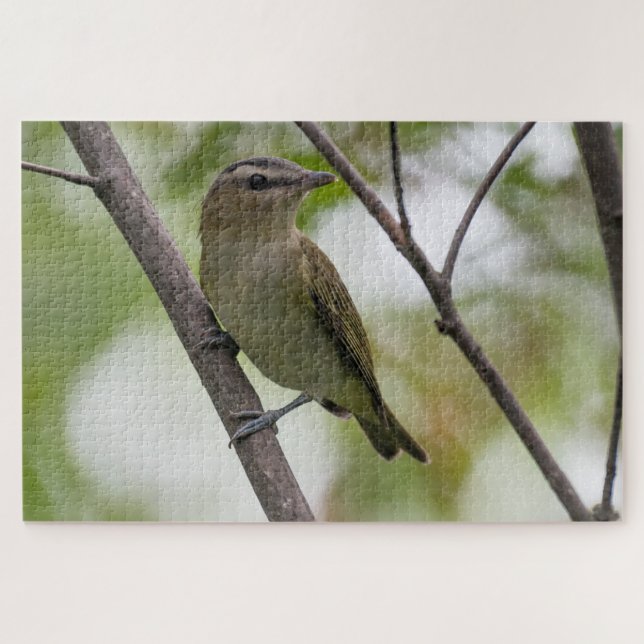 Puzzle Oiseau vert, Vireo à yeux rouges, Photographie can (Horizontal)