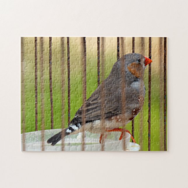 Puzzle Oiseau Zebra Finch en cage (Horizontal)