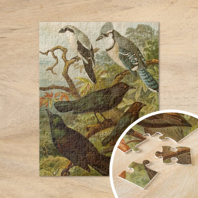Puzzle Oiseaux d'Amérique du Nord | Gustav Mützel (Créateur téléchargé)