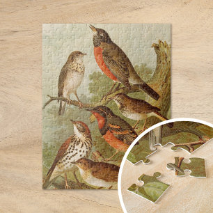 Puzzle Oiseaux d'Amérique du Nord Gustav Mützel