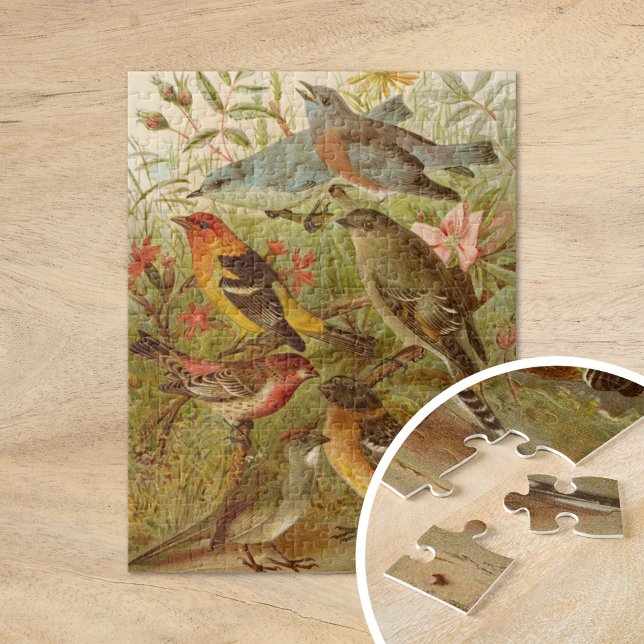 Puzzle Oiseaux d'Amérique du Nord | Gustav Mützel (Créateur téléchargé)