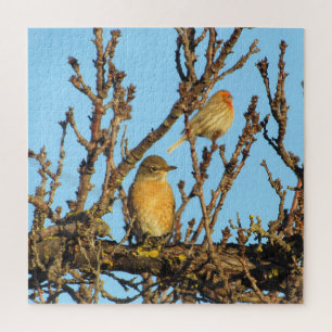Puzzle - Oiseaux dans les branches
