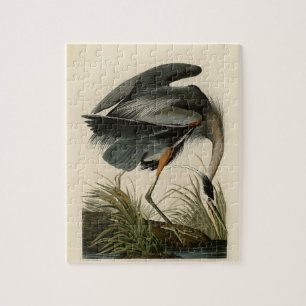 Puzzle Oiseaux d'Audubon Great Blue Heron