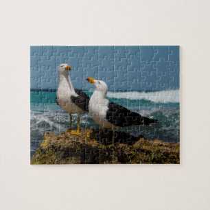 Puzzle Oiseaux de goélands du Pacifique Australie Océan,