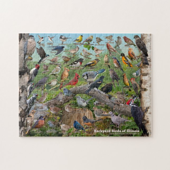 Puzzle Oiseaux de jardin de l'Illinois (Horizontal)