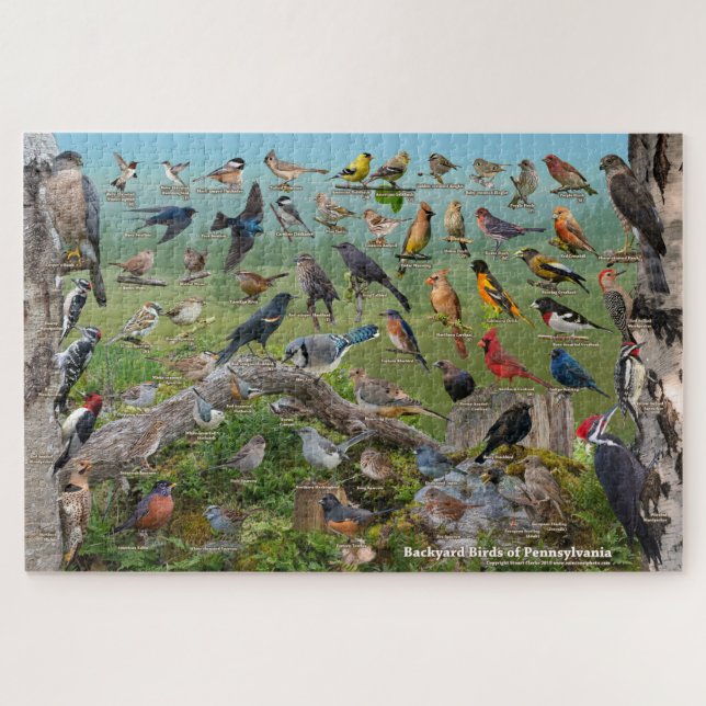 Puzzle Oiseaux de jardin de Pennsylvanie (Horizontal)