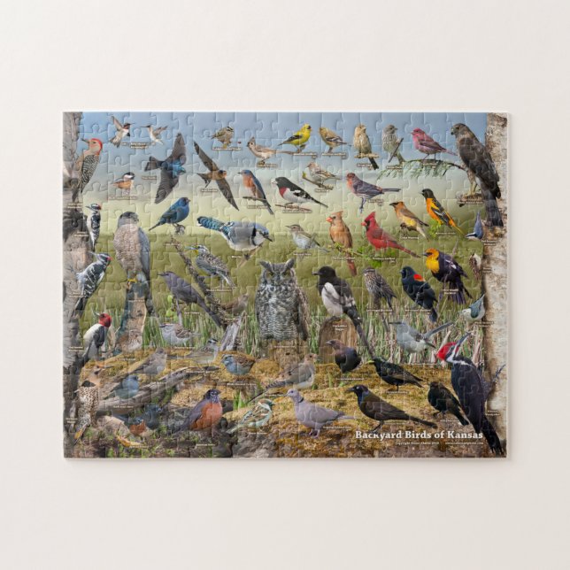 Puzzle Oiseaux de jardin du Kansas (Horizontal)