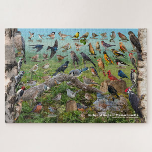 Puzzle Oiseaux de jardin du Massachusetts