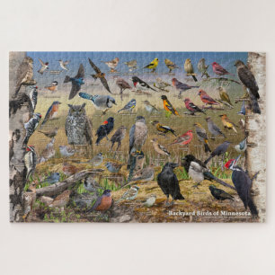 Puzzle Oiseaux de jardin du Minnesota