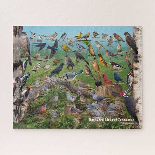 Puzzle Oiseaux de jardin du Tennessee (Horizontal)