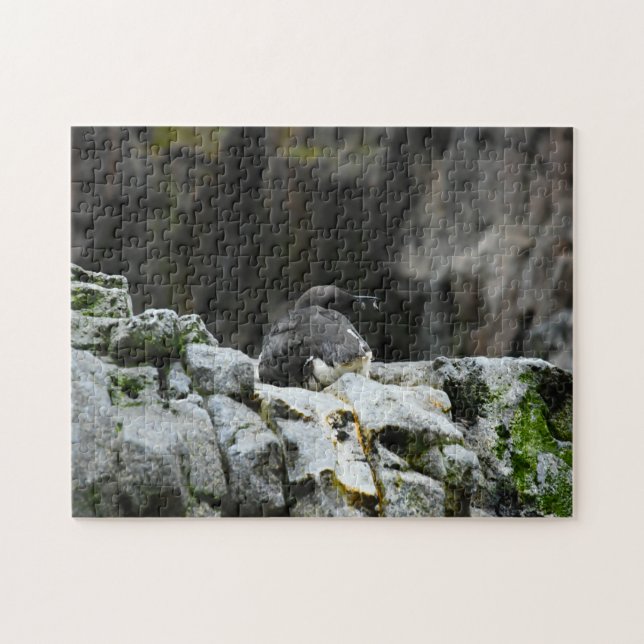 Puzzle Oiseaux de la mer. (Horizontal)