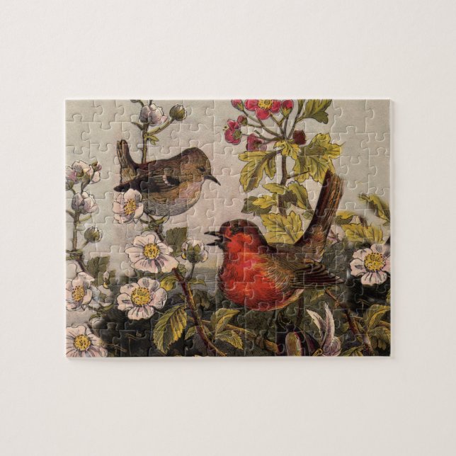 Puzzle Oiseaux de printemps Robin Oiseaux rouges (Horizontal)