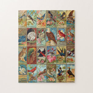 Puzzle Oiseaux du 19ème siècle des illustrations de