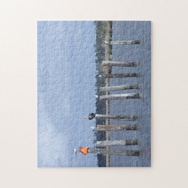 Puzzle Oiseaux en poste dans le lac (Vertical)