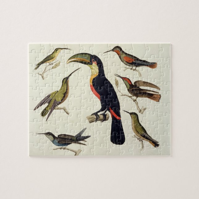 Puzzle Oiseaux indigènes, y compris le toucan (centre), (Horizontal)