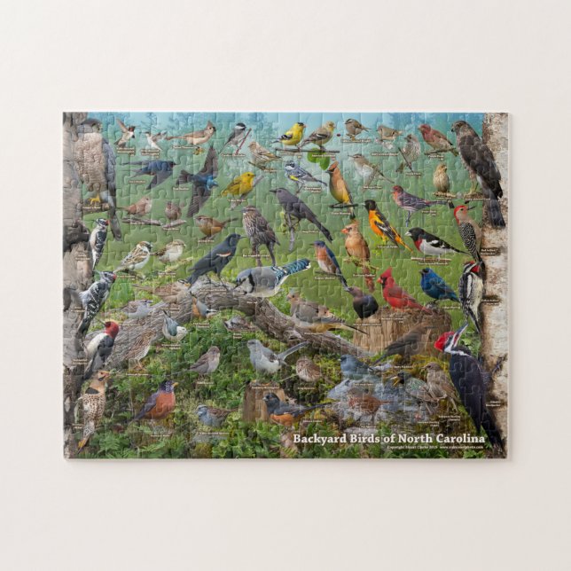 Puzzle Oiseaux Jardins de Caroline du Nord (Horizontal)