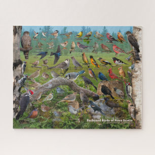 Puzzle Oiseaux Jardins de la Nouvelle-Écosse