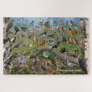 Puzzle Oiseaux Jardins de l'Ohio