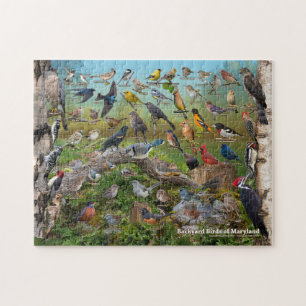 Puzzle Oiseaux Jardins de MAryland