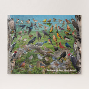 Puzzle Oiseaux Jardins de Rhode Island