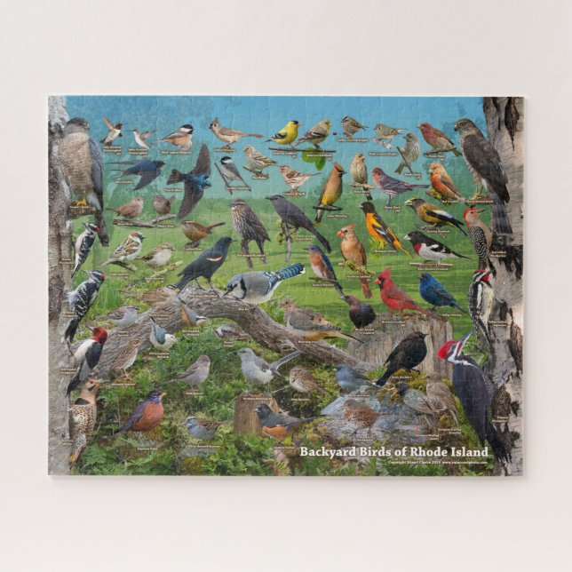 Puzzle Oiseaux Jardins de Rhode Island (Horizontal)