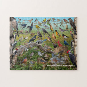 Puzzle Oiseaux Jardins de Virginie-Occidentale