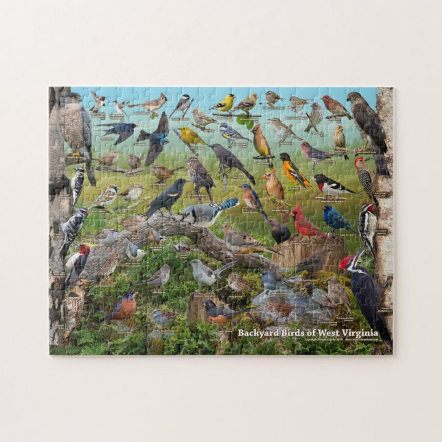 Puzzle Oiseaux Jardins de Virginie-Occidentale (Horizontal)