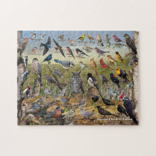 Puzzle Oiseaux Jardins du Kansas