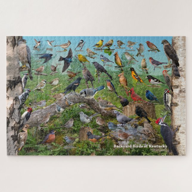 Puzzle Oiseaux Jardins du Kentucky (Horizontal)