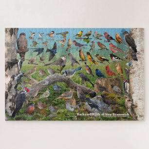 Puzzle Oiseaux jardins du Nouveau-Brunswick