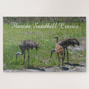 Puzzle Oiseaux mignons Floride Grue Sandhill Nature Pitto
