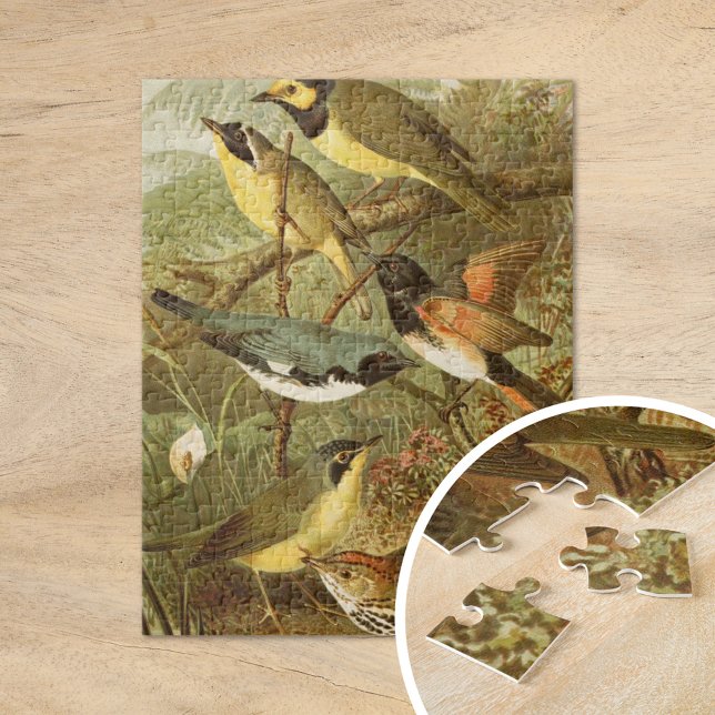 Puzzle Oiseaux nord-américains | Tzel Gustav Mü (Créateur téléchargé)