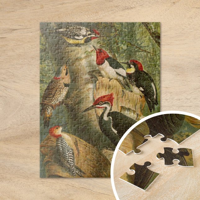 Puzzle Oiseaux nord-américains | Tzel Gustav Mü (Créateur téléchargé)