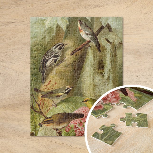 Puzzle Oiseaux nord-américains | Tzel Gustav Mü (Créateur téléchargé)