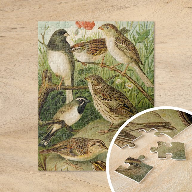 Puzzle Oiseaux nord-américains | Tzel Gustav Mü (Créateur téléchargé)