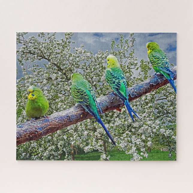 Puzzle Oiseaux - perruques (Horizontal)