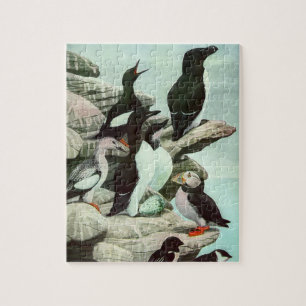 Puzzle Oiseaux Puffins et Aquatiques Vintage de Louis Fue