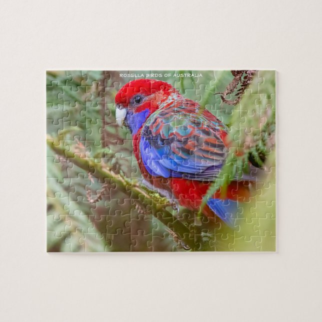 Puzzle Oiseaux Rosella d'Australie (Horizontal)