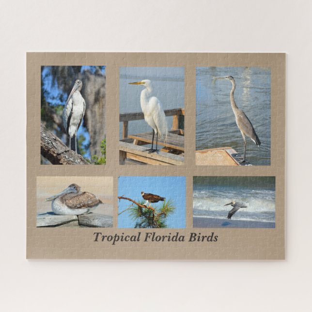 Puzzle Oiseaux tropicaux de Floride (Horizontal)