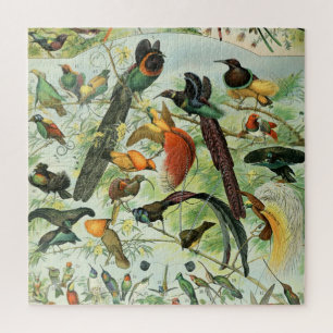 Puzzle Oiseaux Vintages Ancien livre Illustration Art Ani