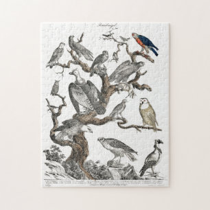 Puzzle Oiseaux vintages Vieux livre Illustration Art