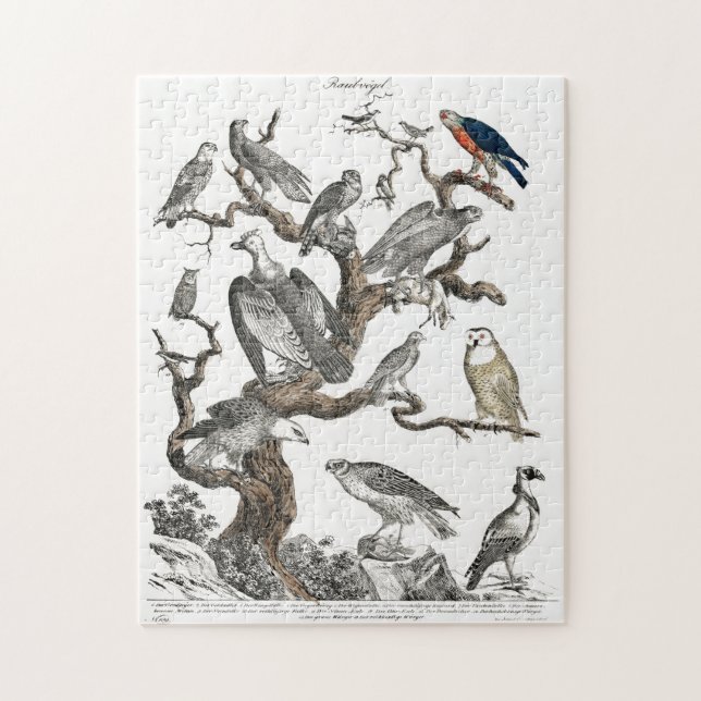 Puzzle Oiseaux vintages Vieux livre Illustration Art (Vertical)