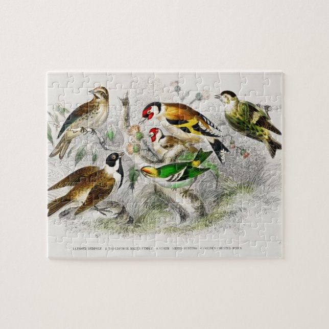 Puzzle Oiseaux vintages Vieux livre Illustration Art (Horizontal)