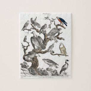 Puzzle Oiseaux vintages Vieux livre Illustration Art