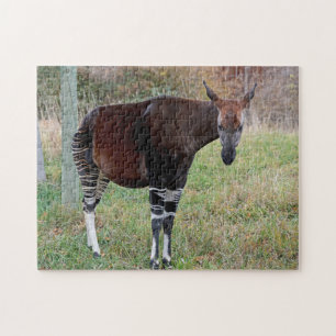 Puzzle Okapi