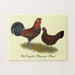 Puzzle Old Anglais Pheasant Fowl