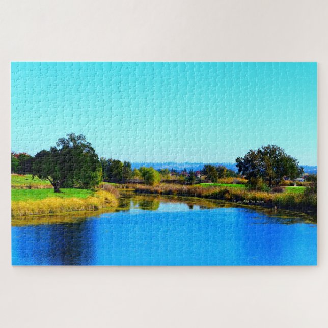 Puzzle "Ombres arborescentes dans Lincoln #2" (Horizontal)