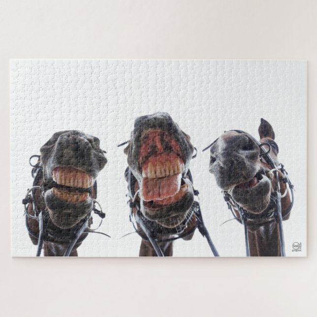 Puzzle On a regardé des chevaux dans la bouche. 3 chevaux (Horizontal)